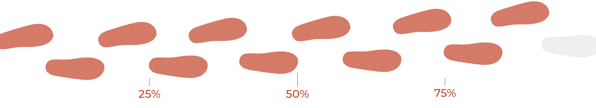 footprint-progress-11