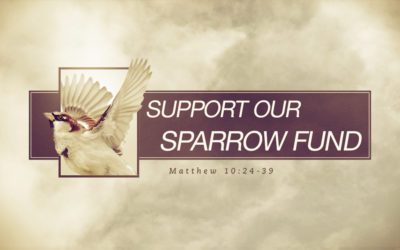 Support Hyde Park’s Sparrow Fund