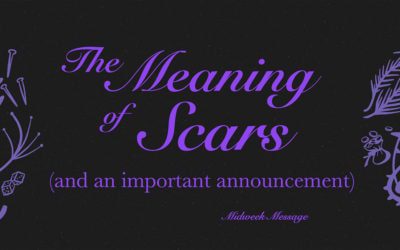 The Meaning of Scars