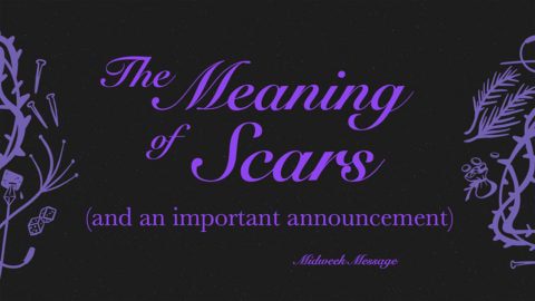 The Meaning of Scars