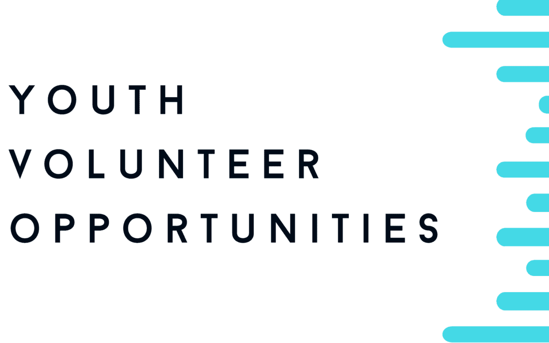 New Youth Volunteer Opportunities