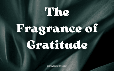 The Fragrance of Gratitude