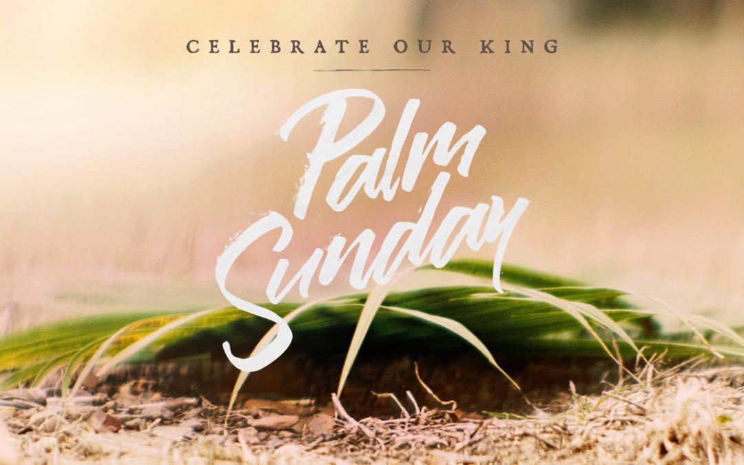 Palm Sunday Information for Children