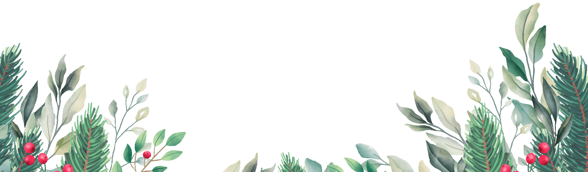 Bottom Border