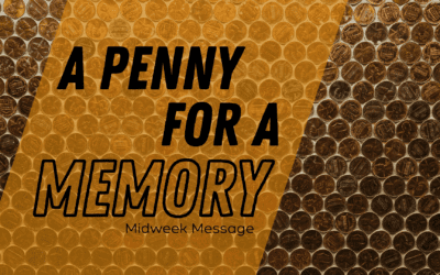 A Penny For a Memory