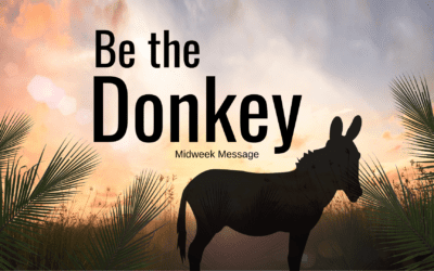 Be The Donkey