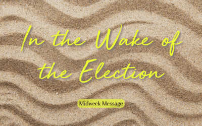 In the Wake of the Election